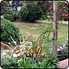 View From the Patio