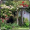 A Well Defined Garden