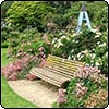 Old Fashioned Rose Garden