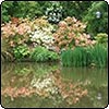 Akaroa Garden Tour 2