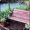 Seat by the Pond