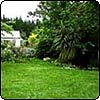 Jelly Bean Garden lawn