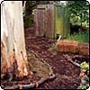 Pond Garden Pump House