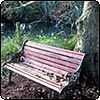 Pond-Side Garden Bench