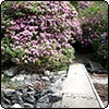 Leckmelm Arboretum