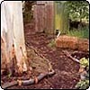 Pump House Path