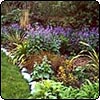 The Pond Border in Early Spring 
