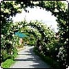 Mona Vale Rose Gardens