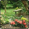 Rhododendron Garden