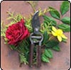  Pruning 