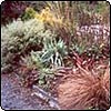 Stephen's Garden Border