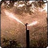 Garden Water