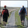 Walking on Cape Campbell