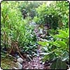 Wattle Woods Garden Path
