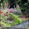 Garden by the Water