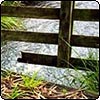 Wooden Garden Bridge