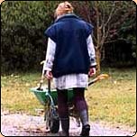  Gardening Articles from 2000 