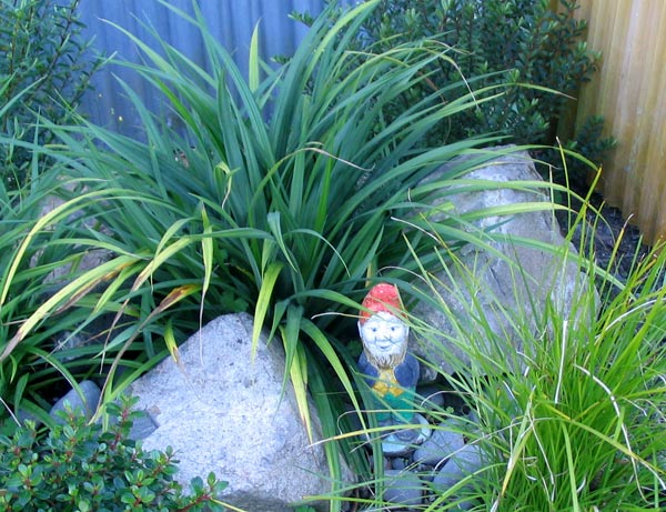  A nice spot for a gnome. 