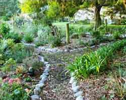  Stone edging and Renga Renga. 