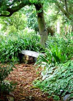  A place where you can sit surrounded by green foliage. 