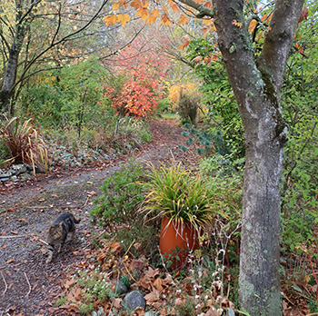  In the driveway. 