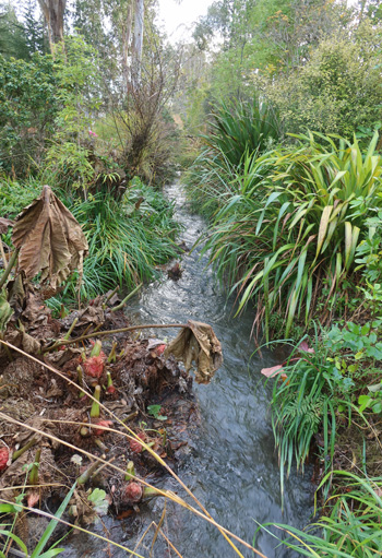  Looking upstream from Willow Bridge. 