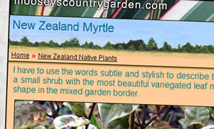  The journal pages are the longest pages on the site - there's just so much gardening activity to talk about! 
