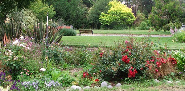  Looking out to the Frisbee Lawn. 