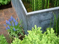 bamboo-container-hyacinth