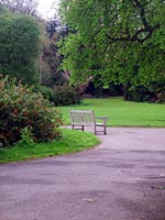 beautiful-garden-bench