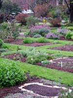 chelsea-physic-garden-beds