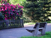 garden-bench-with-view