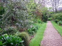 garden-border-path