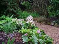 gravel-garden-path