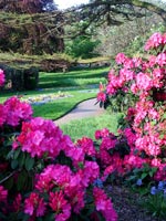 meanding-garden-path