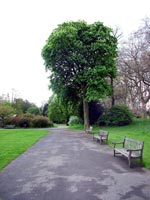 middle-ranelagh-garden-seat