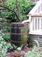 rainwater-barrel