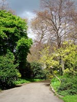 serpentine-walk-sun-clouds