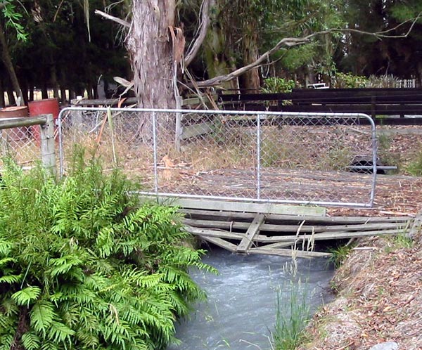  You can see the fence-line Eucalypts. 