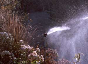  This is a photo of one of the garden water sprinklers by the house in full cry. 