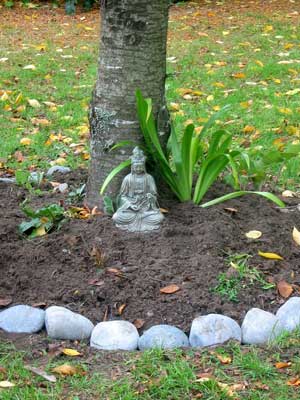  I have freshly planted the circle garden under the tree with shade lovers. 