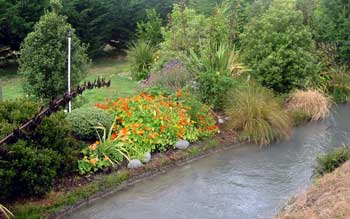  This is a view of the lawn over the water race which used to be visited every spring by a family of ducks.  