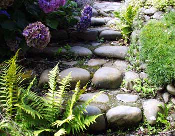  Those stones are found all over the property. 