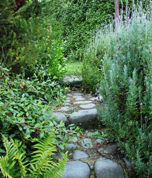  Lavenders and Ferns. 