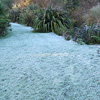 Photographs of the Winter Garden