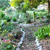 Hen House Garden Paths