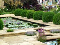 english-water-garden