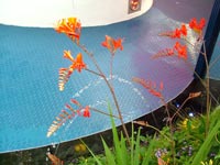 fiery-water-garden