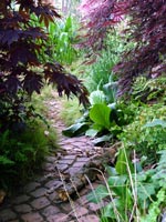 garden-path-maples