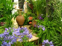 garden-patio-urn-agapanthus